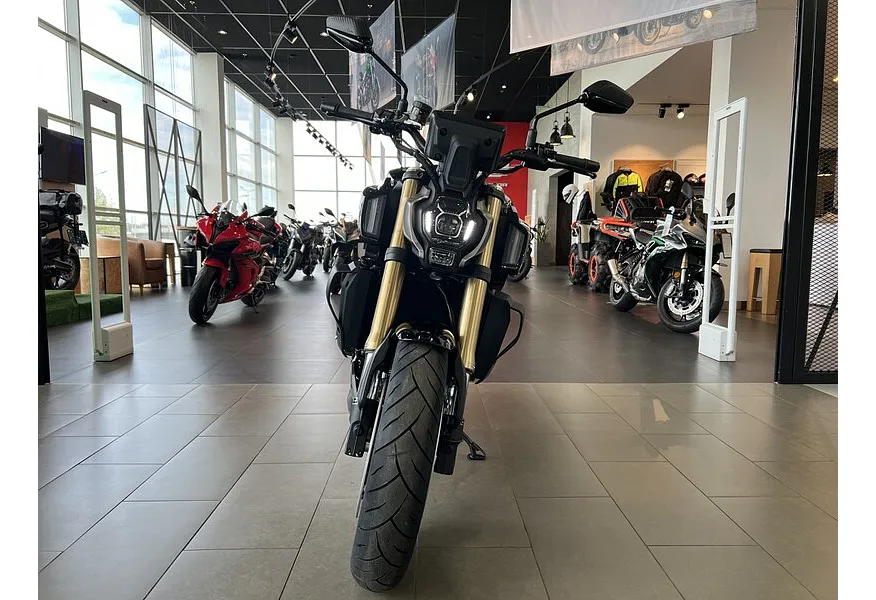 LIVE. Слайд №5