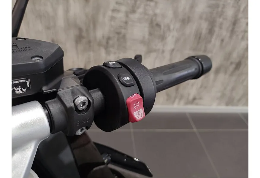 BMW Motorrad R 1250 RS R 1250 RS 1254 см³ (136) 1254 Коричневый в АВИЛОН. Слайд №8