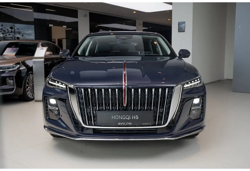 Hongqi H5 2.0 AT (218 л.с.) Deluxe Plus Коричневый в АВИЛОН. Слайд №3