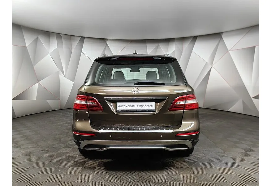 LIVE. Слайд №6