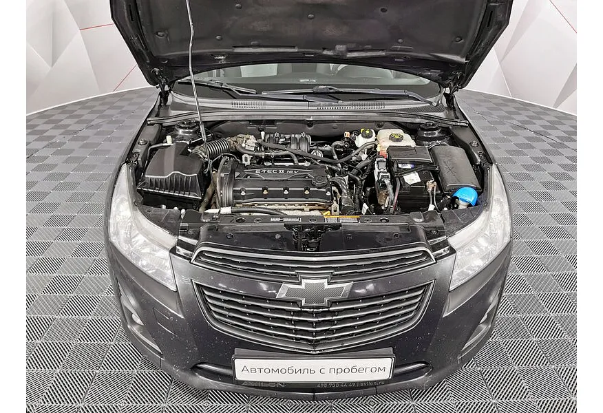 LIVE. Слайд №18