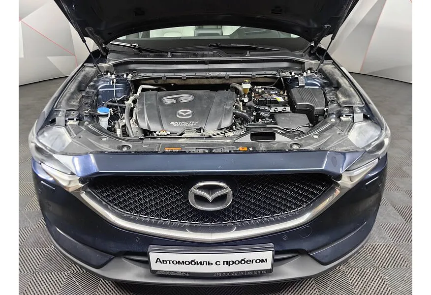 LIVE. Слайд №19