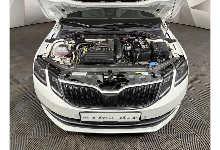 LIVE. Слайд №19