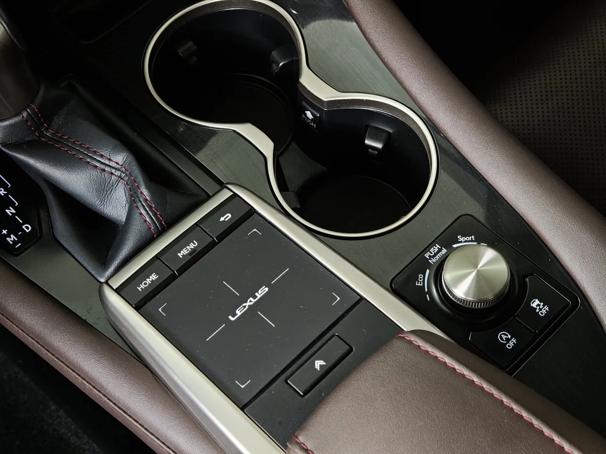 Lexus RX 300 AT AWD (238 л.с.) Luxury Серый в АВИЛОН. Слайд №22