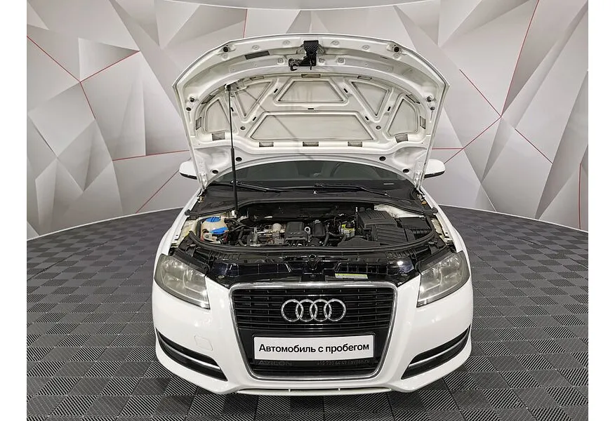 LIVE. Слайд №18