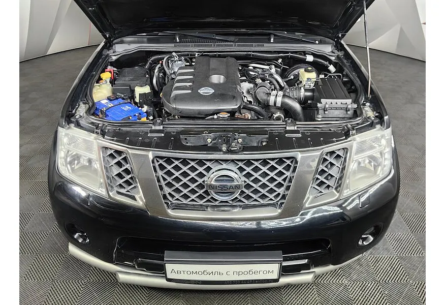 LIVE. Слайд №19