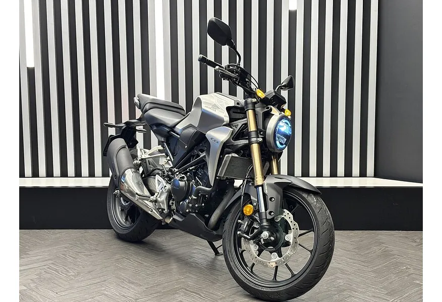 Honda CBF 300 NA 286 см³ (31 л.с.) Серый в АВИЛОН. Слайд №2