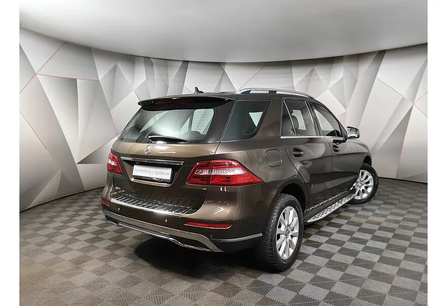 LIVE. Слайд №8