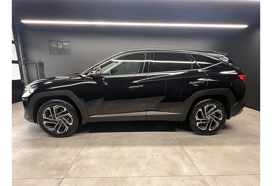 LIVE. Слайд №2