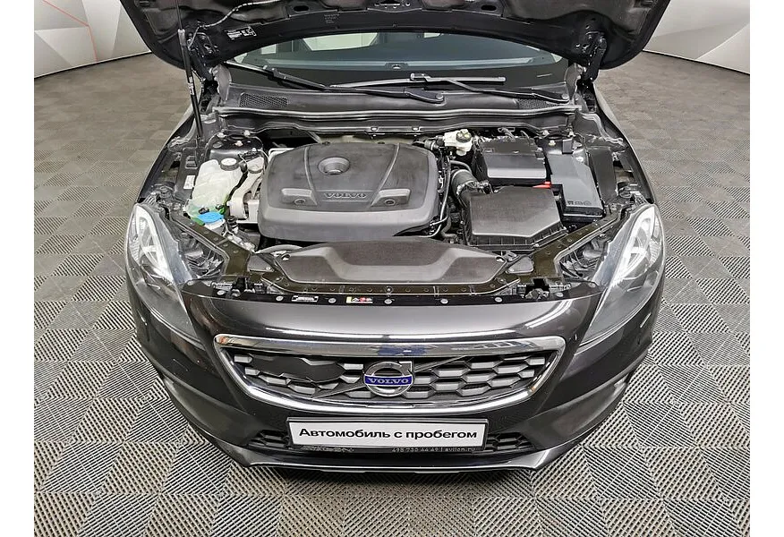 LIVE. Слайд №18