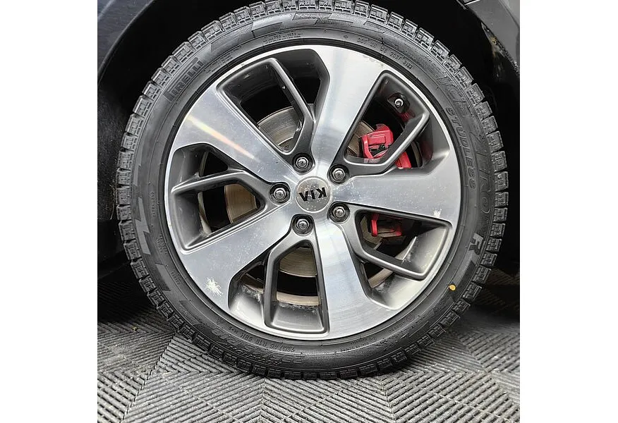 LIVE. Слайд №17