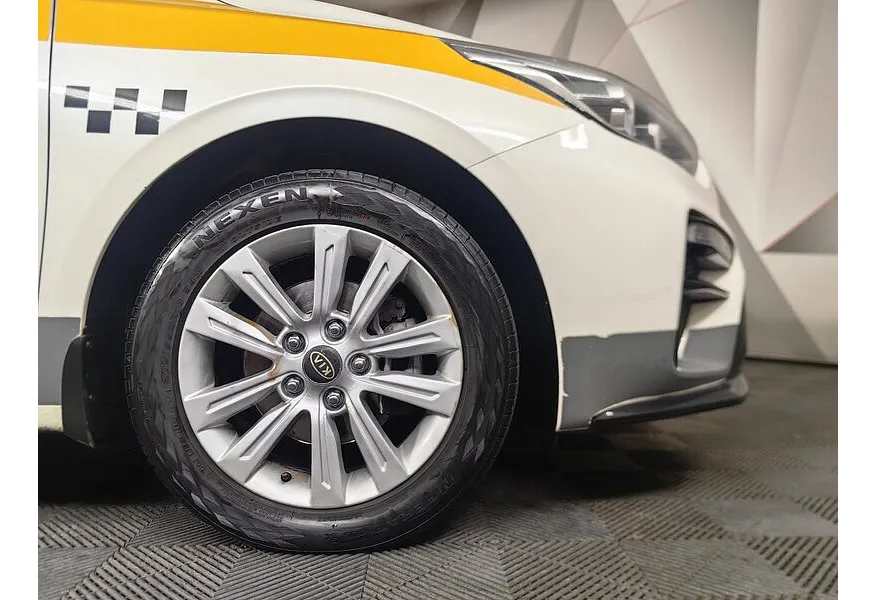 LIVE. Слайд №16