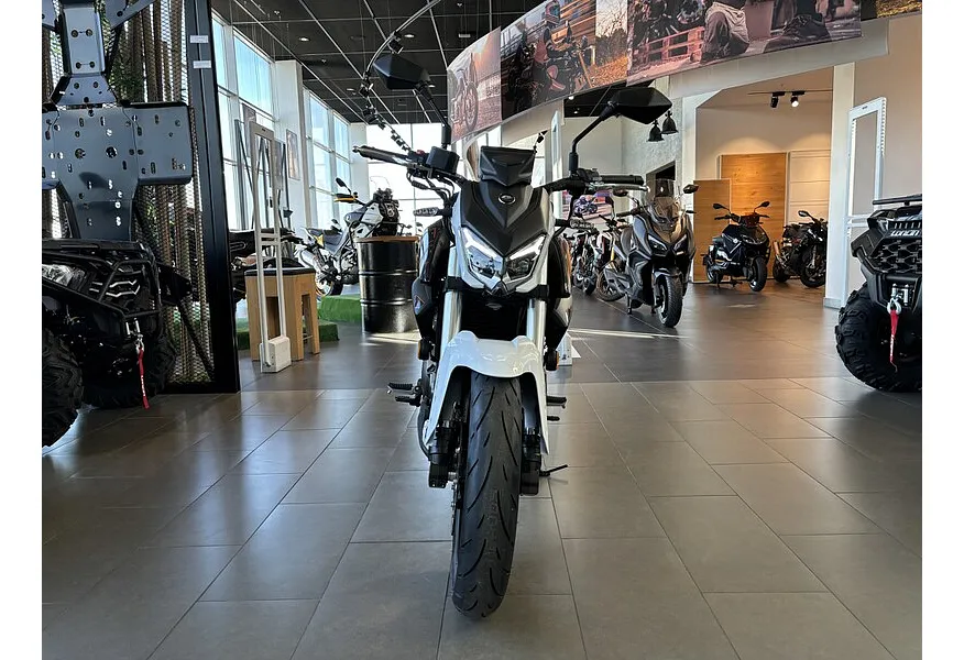 LIVE. Слайд №5