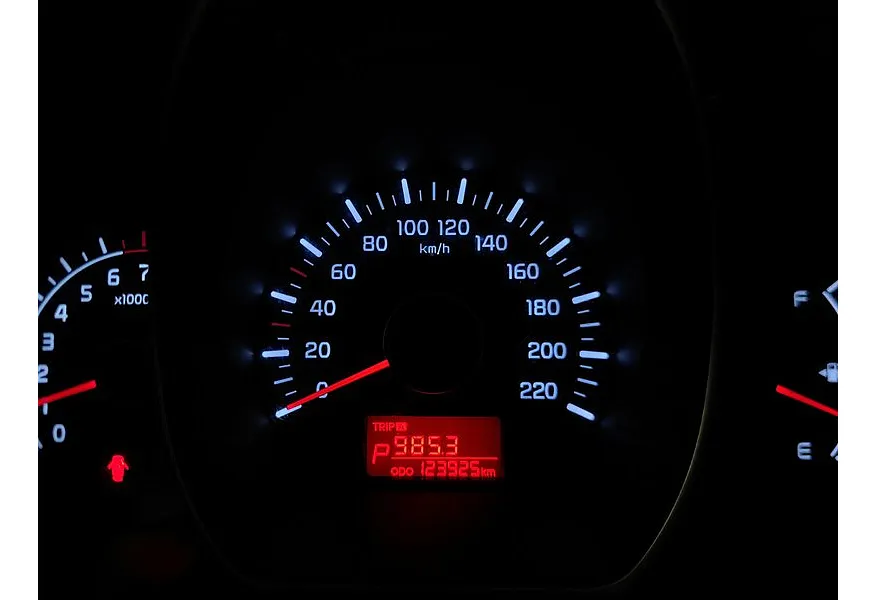 LIVE. Слайд №19