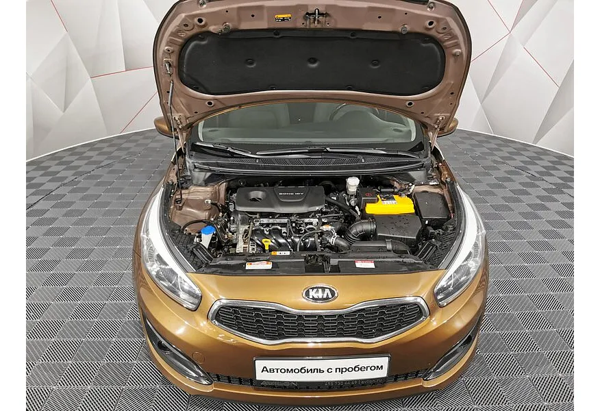 LIVE. Слайд №18