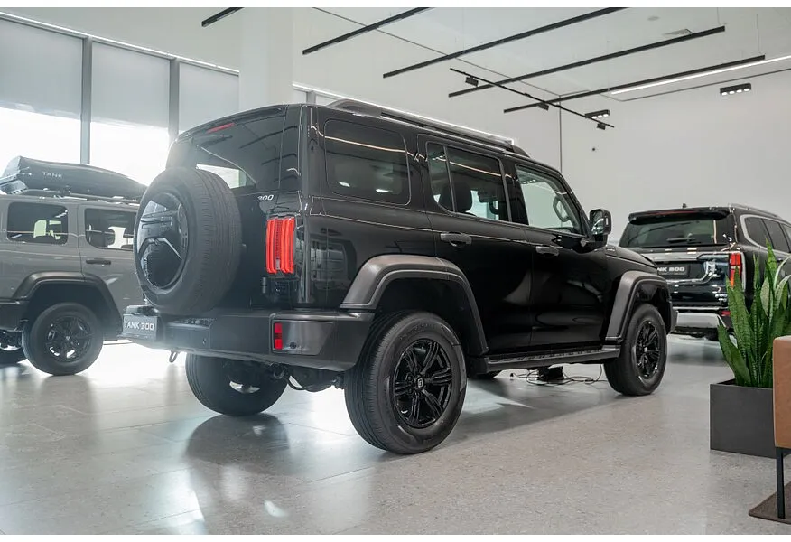 TANK 300 2.0T AT 4WD (220 л.с.) Premium Черный в АВИЛОН. Слайд №2