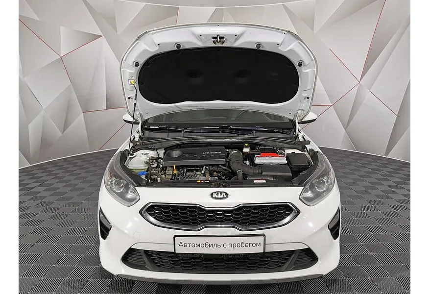 LIVE. Слайд №19