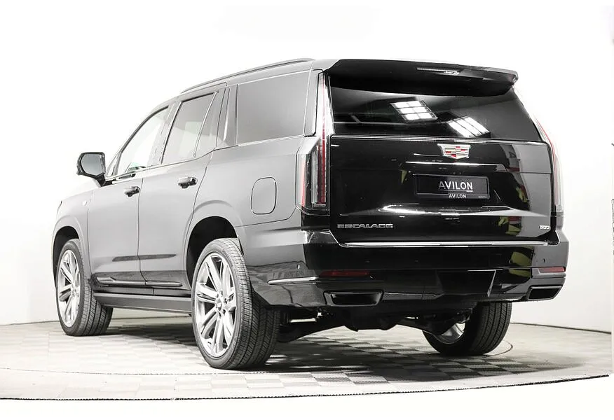 LIVE. Слайд №4