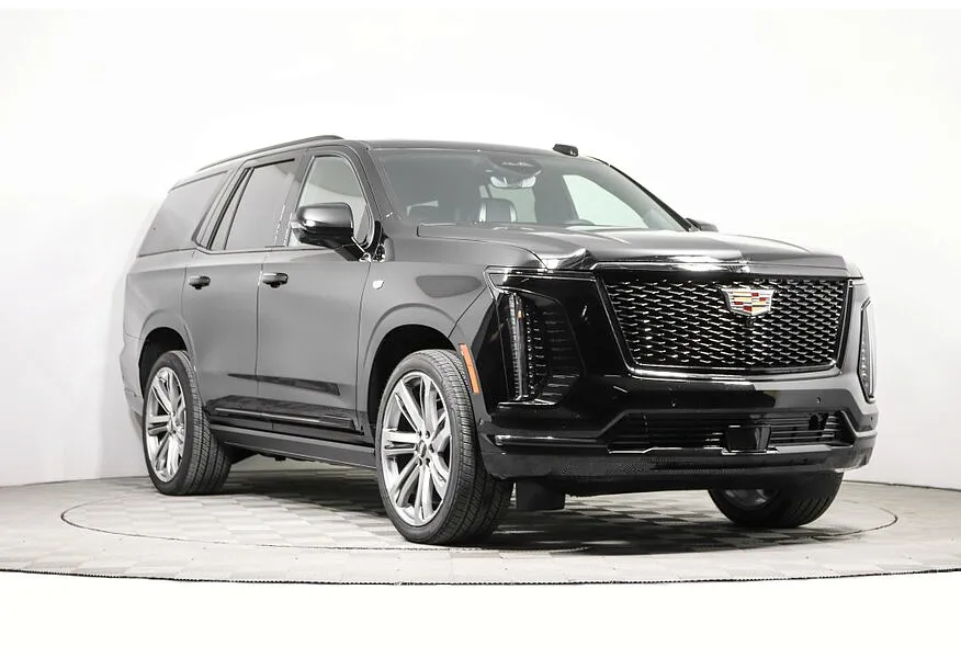 LIVE. Слайд №1