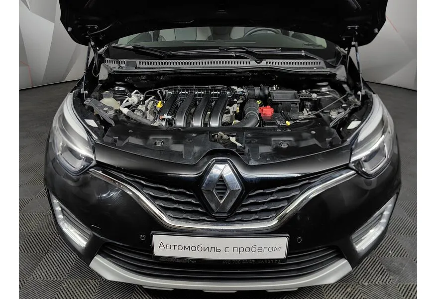 LIVE. Слайд №18