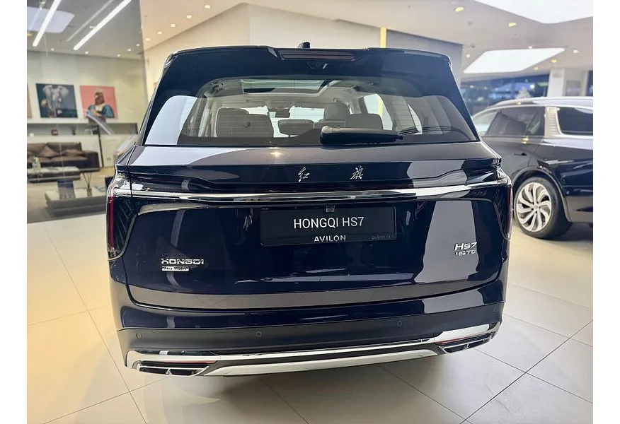 Hongqi HS7 2.0T 8AT 4WD (245 л.с.) Deluxe Коричневый в АВИЛОН. Слайд №5