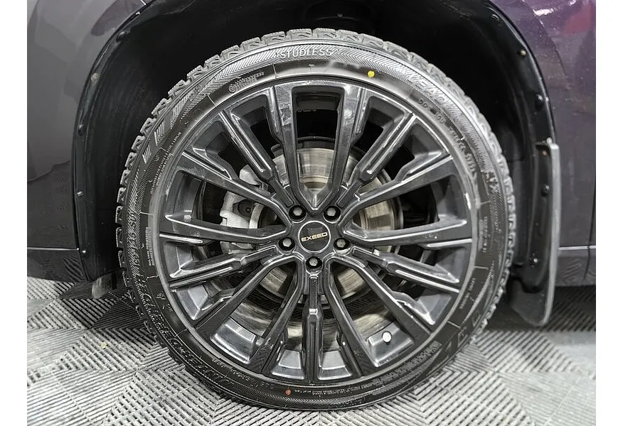 EXEED VX 2.0 AMT AWD (249 л.с.) President Фиолетовый в АВИЛОН. Слайд №9