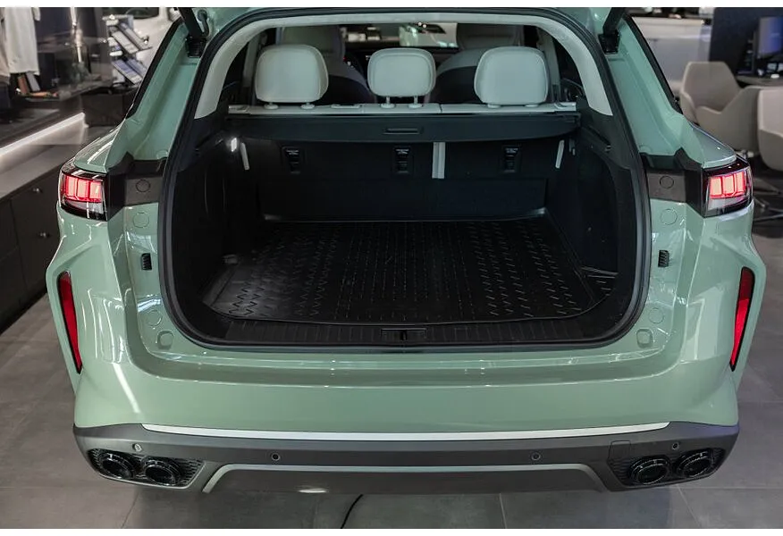 EXEED RX 2.0T 8AT 4WD (249 л.с.) Premium Зеленый в АВИЛОН. Слайд №9