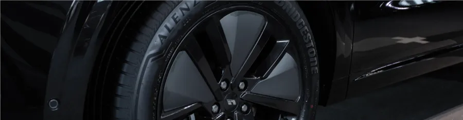 Зимняя защита порогов Li Auto – 17000Р