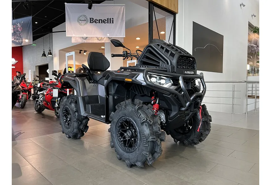 LIVE. Слайд №2