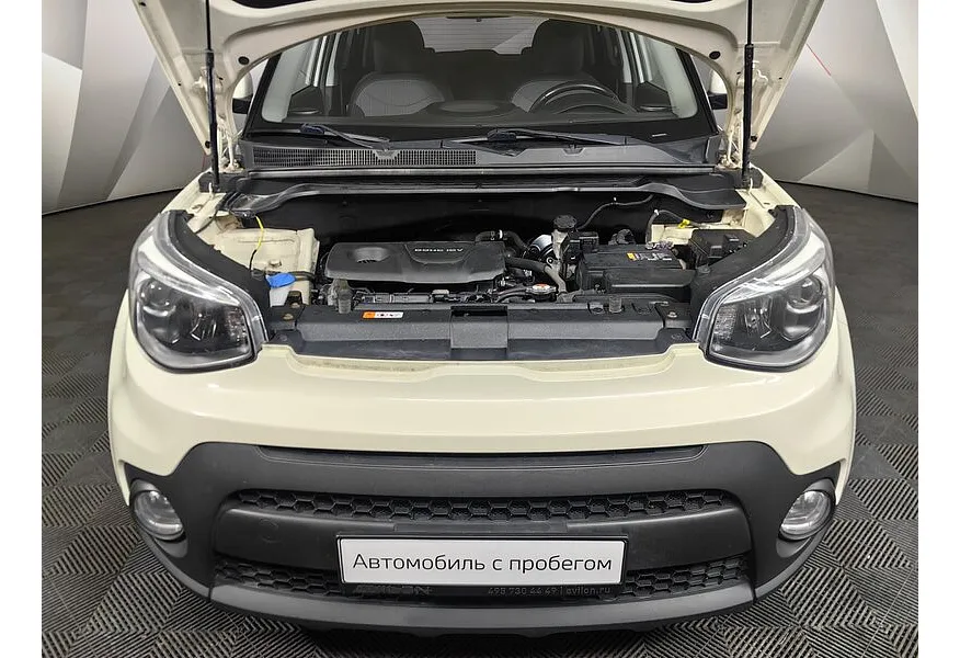 LIVE. Слайд №18