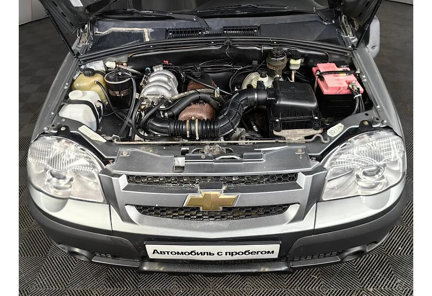 LIVE. Слайд №16