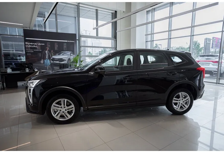 LIVE. Слайд №3