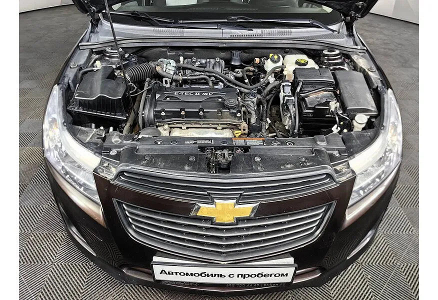 LIVE. Слайд №18