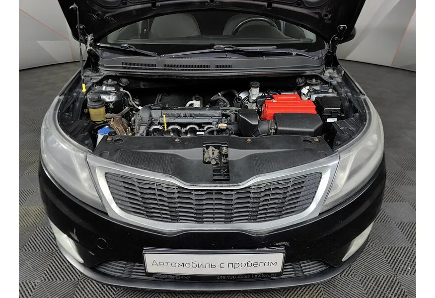 LIVE. Слайд №17