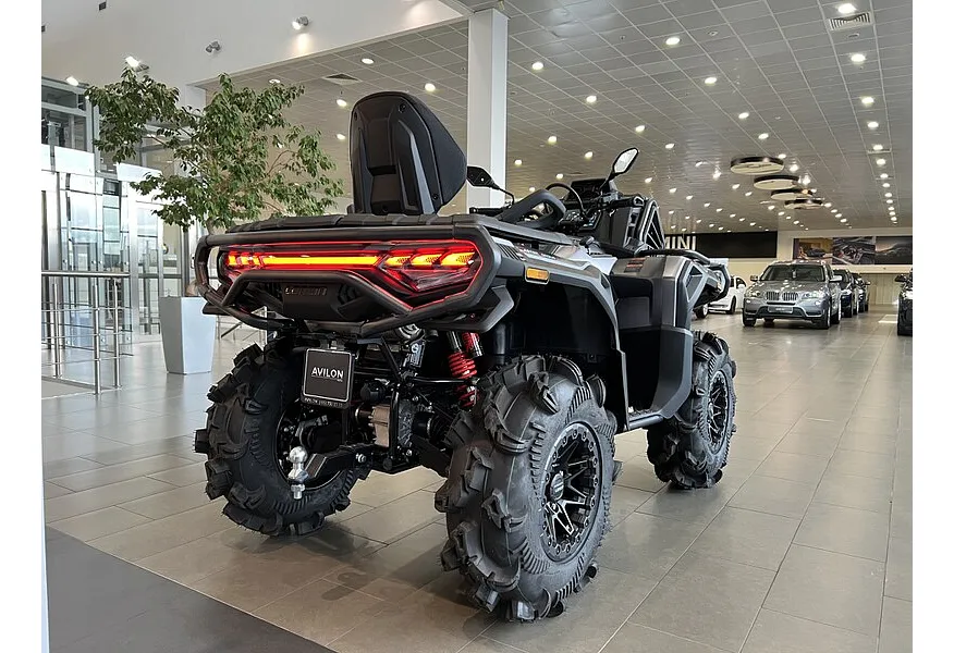 LIVE. Слайд №7