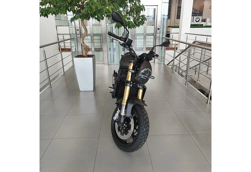 АВИЛОН - Benelli Leoncino 800 754 см³ (76 л.с.) (76) 754 Коричневый - slide 1