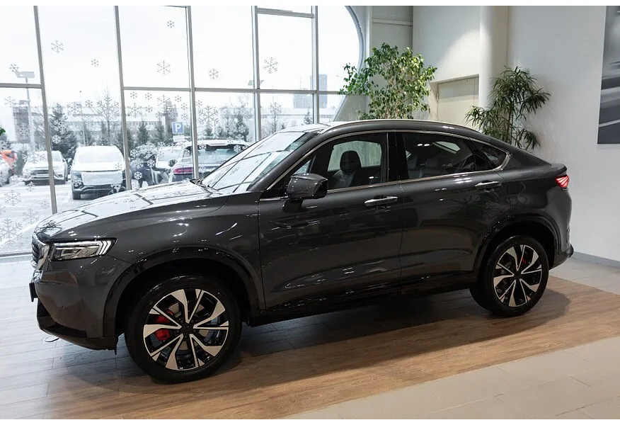 АВИЛОН - KNEWSTAR 001 2.0 AT 4WD (200 л.с.) Flagship Sport Серый - slide 9526918