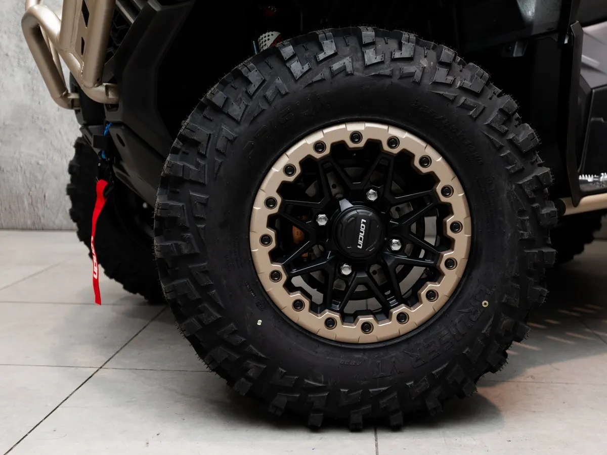 Loncin Xwolf 1000 976 см³ (98 л.с.) 98 976 Серый в АВИЛОН. Слайд №13