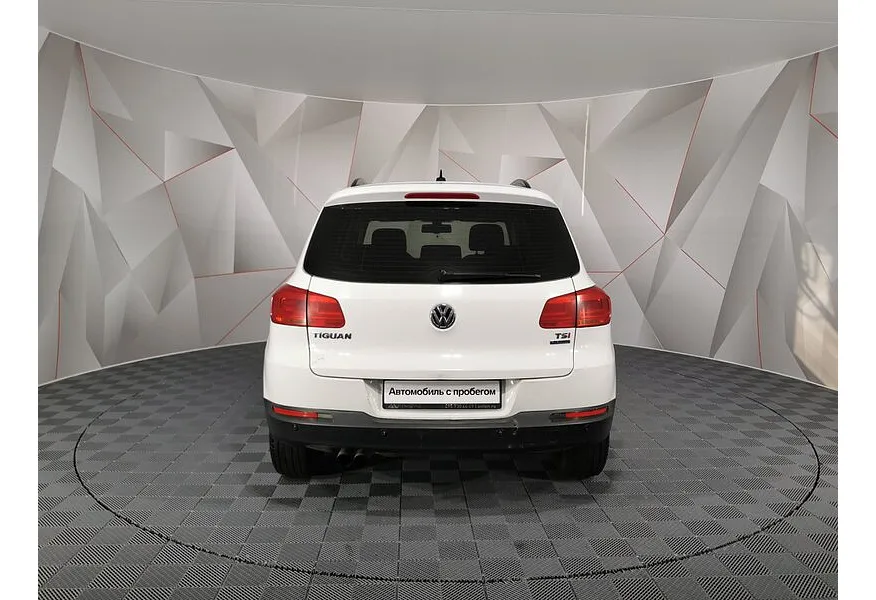 LIVE. Слайд №6