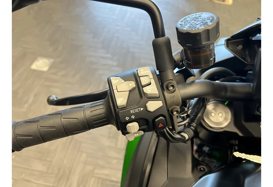 Kawasaki Z H2 998 см³ (200 л.с.) (200) 998 Серый в АВИЛОН. Слайд №4