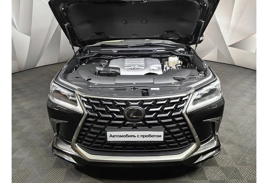 LIVE. Слайд №19