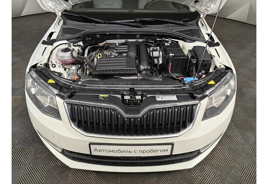 LIVE. Слайд №17