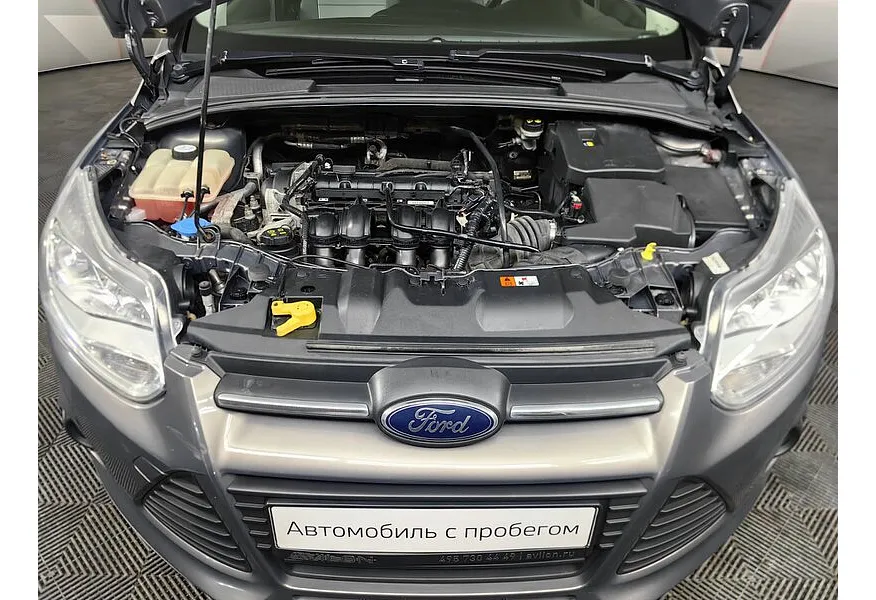 LIVE. Слайд №17