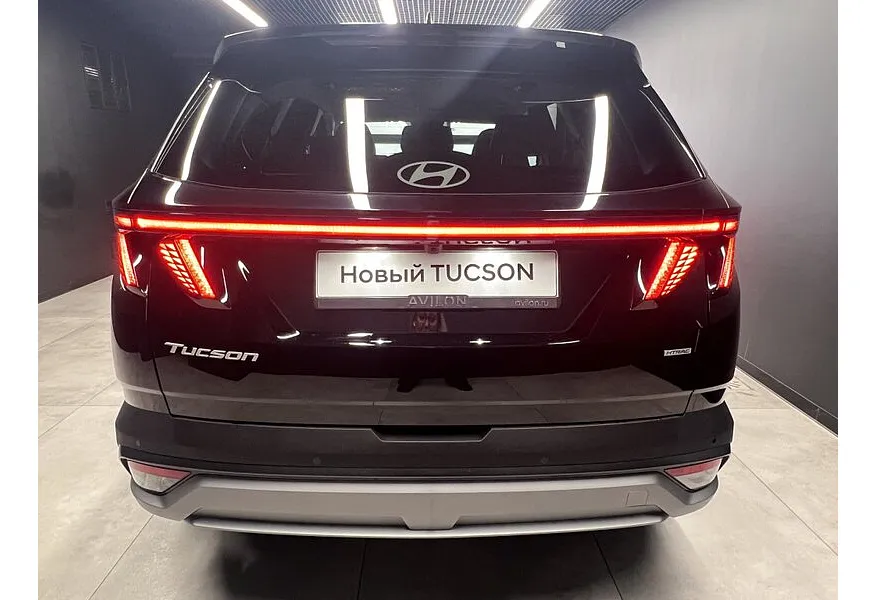 LIVE. Слайд №4