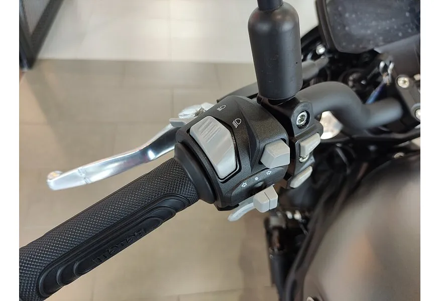 Benelli Leoncino 800 754 см³ (76 л.с.) (76) 754 Серый в АВИЛОН. Слайд №10