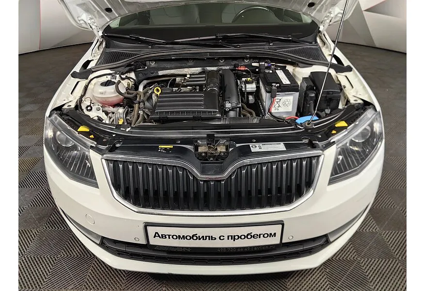 LIVE. Слайд №17