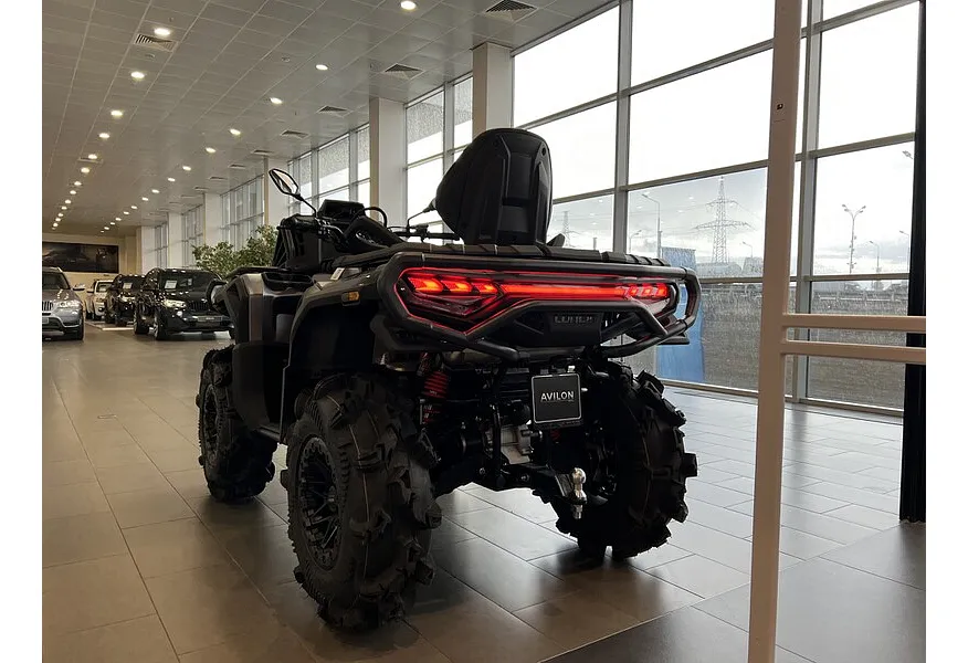 LIVE. Слайд №6