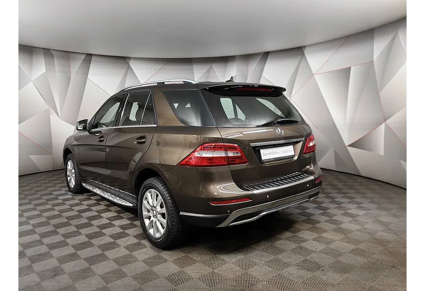 LIVE. Слайд №7