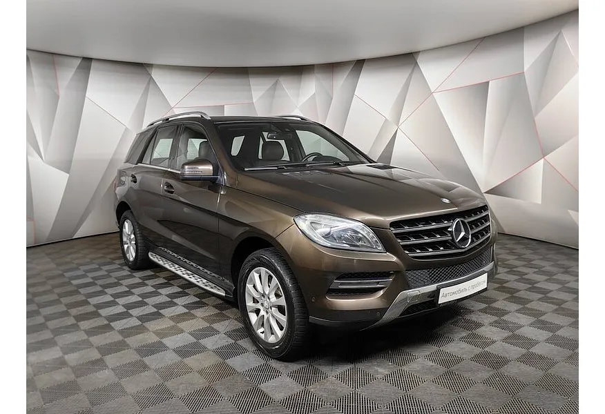 LIVE. Слайд №2