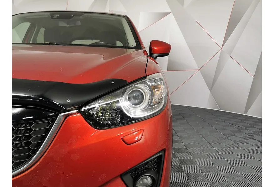 LIVE. Слайд №17